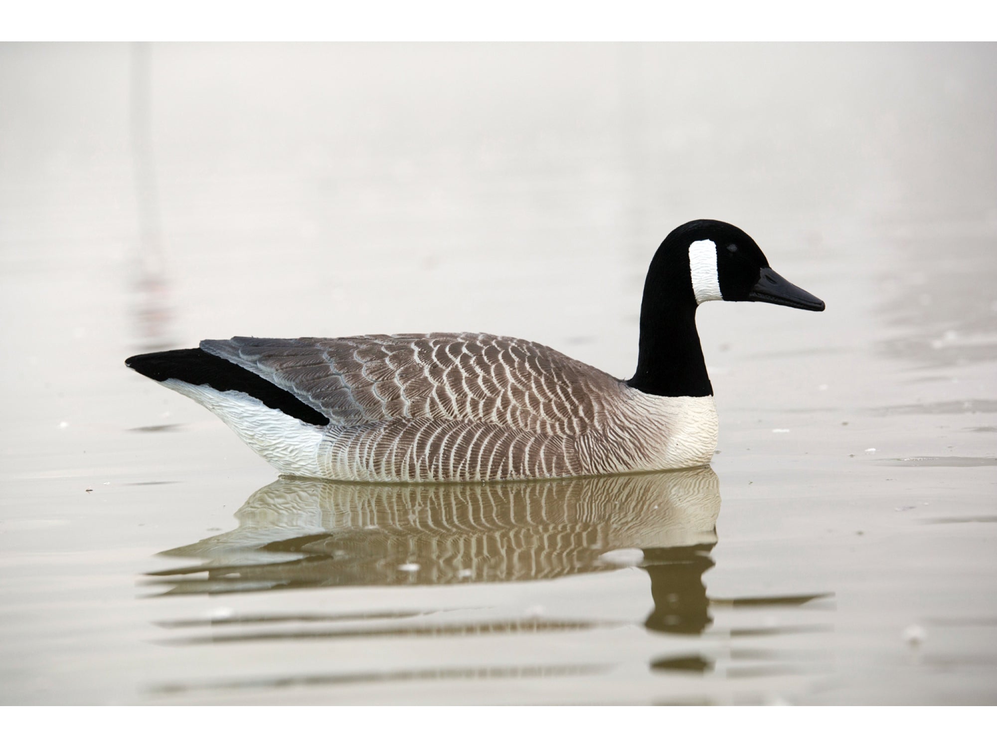 Game On Canada Goose Flocked Floating Decoys 4 Pack | Upright