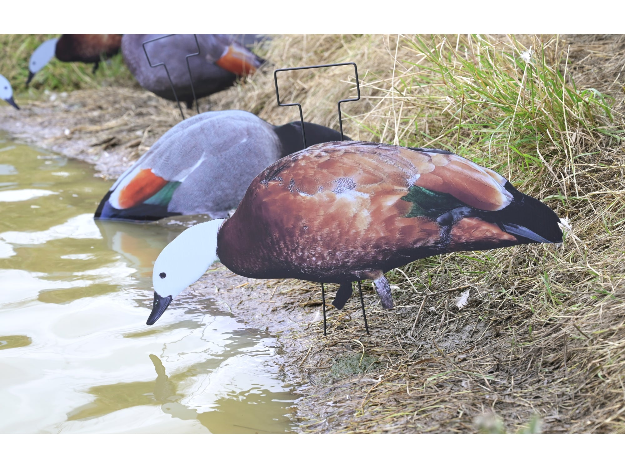 Game On Paradise Duck 2D Silhouette Decoys 12 Pack