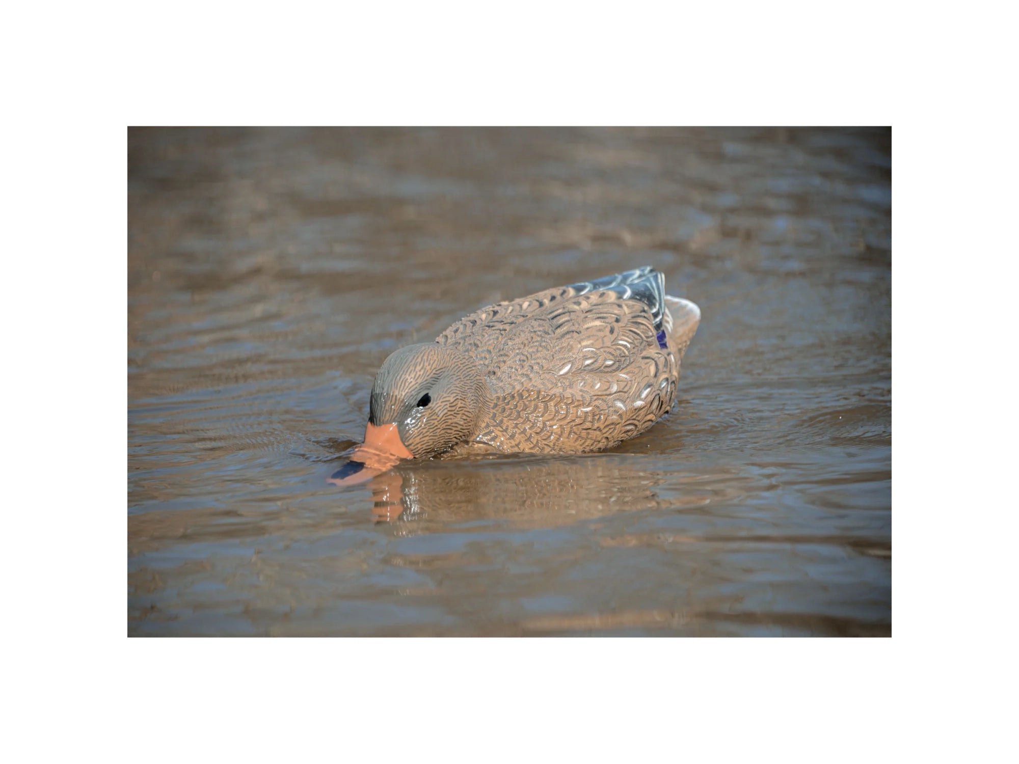 Higdon Pro Swimmer Mallard Hen