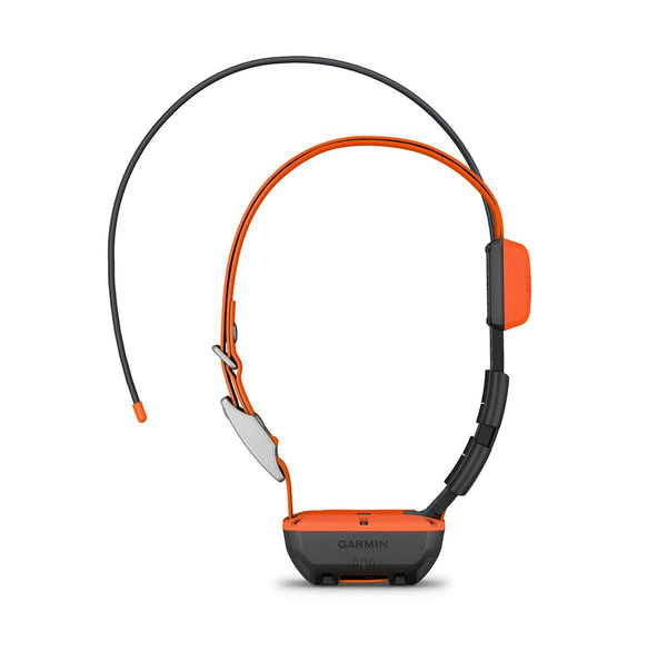 Dogmaster 2024 tracking collars