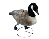 Terminator Canada Goose Full Body Pro Grade Decoys: 6-Pack