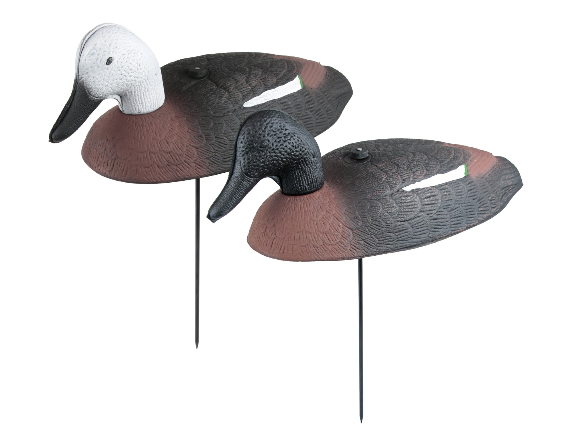 Paradise Foam Shell Duck Decoys 12-Pack - 46cm