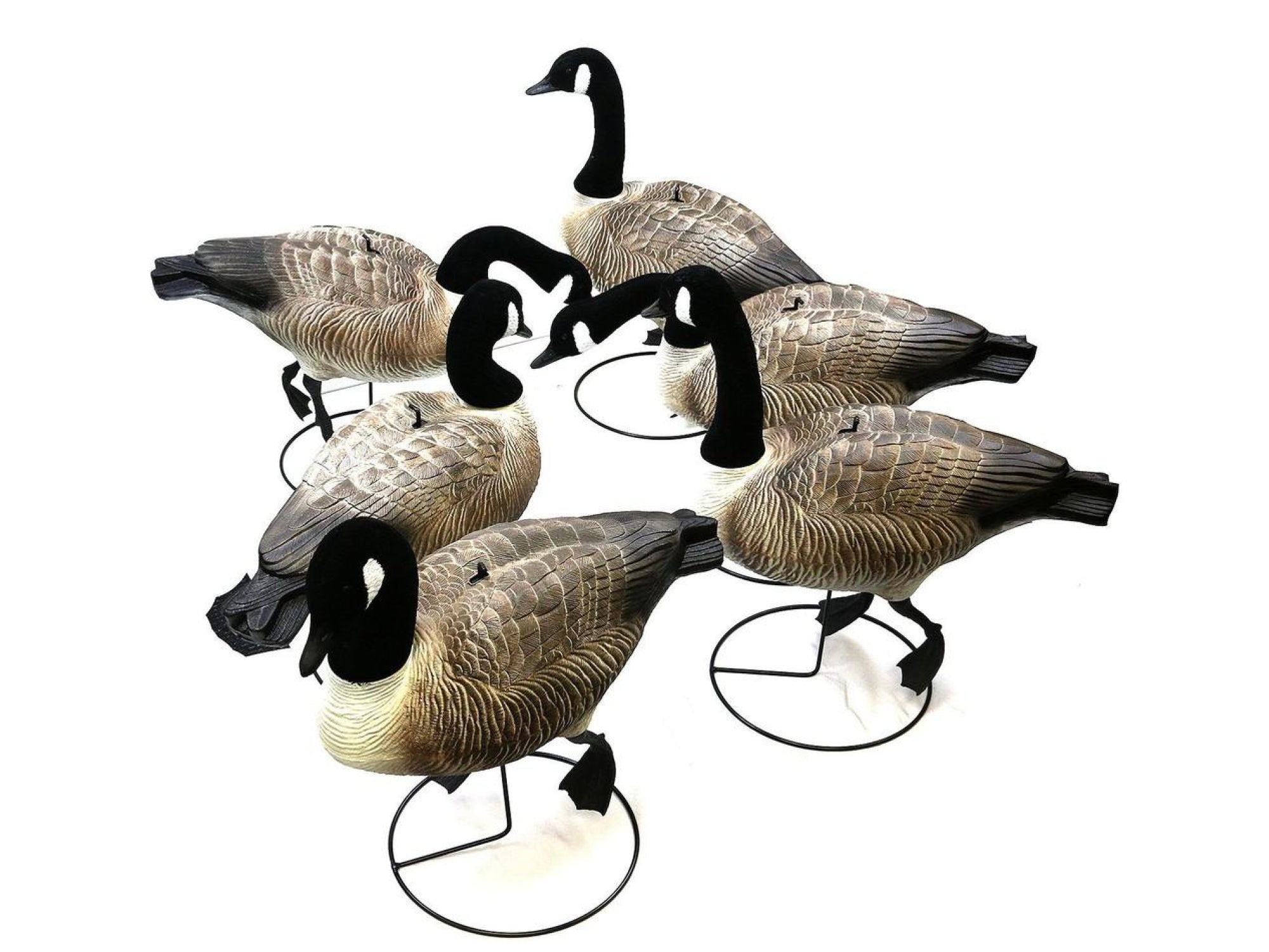 Terminator Canada Goose Full Body Pro Grade Decoys 6-Pack