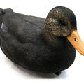 Game On Black Duck Decoy 20in Magnum Duck Decoys 6 Pack