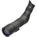 Leupold SX-2 Alpine HD Gen 2 20-60x60mm Angled Spotting Scope
