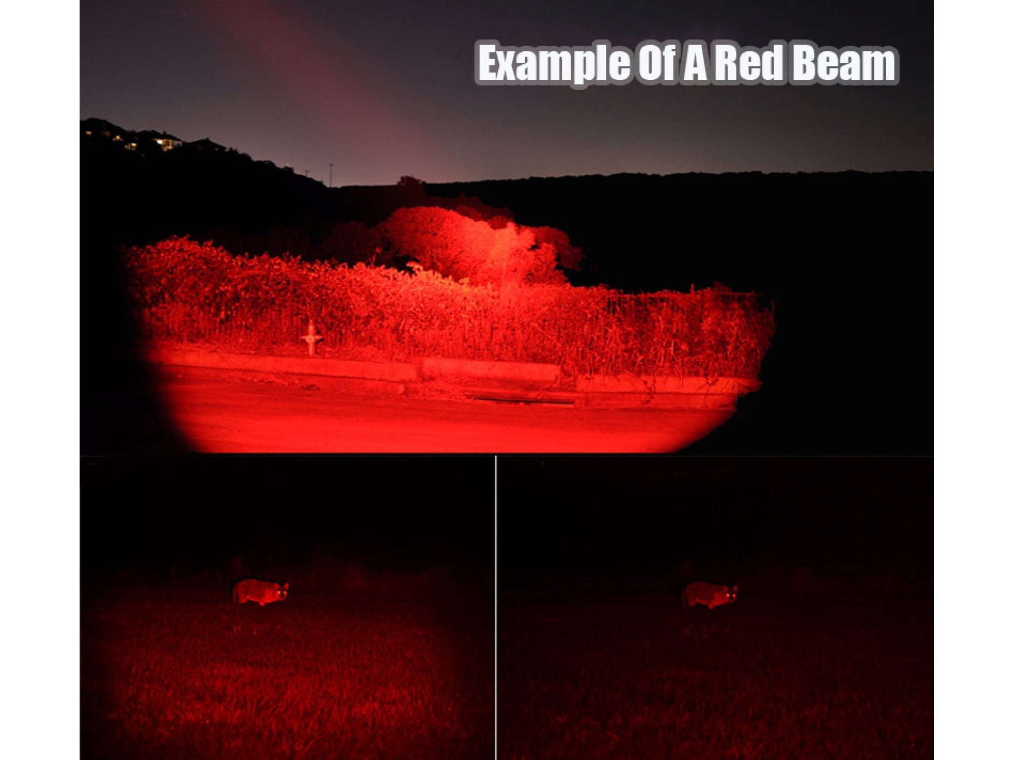 Night Saber Spotlight Filter Red *Assorted Sizes