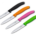 Victorinox Swiss Classic Paring Knife Smooth Edge 10cm