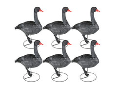 Game On Full Body Field Black Swan 6 Pack