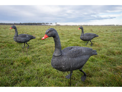 Game On Full Body Field Black Swan 6 Pack