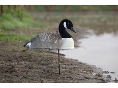 Game On Canada Goose Shell Decoys with Flocked Head: 12 Pack