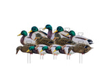 Dakota X-Treme Mallard Silhouettes Fully Flocked | 8 Drakes & 4 Hens