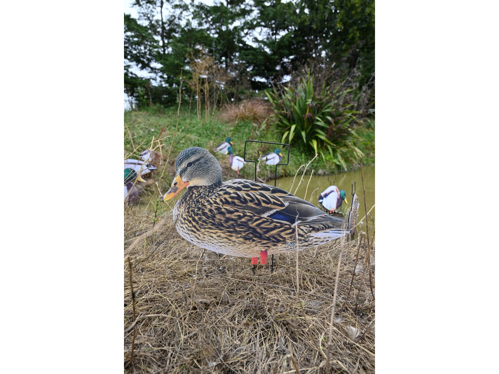 Dakota X-Treme Mallard Silhouettes Fully Flocked | 8 Drakes & 4 Hens