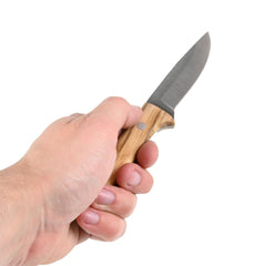 Miguel Nieto Knife Coyote 1058 Olive Wood Handle