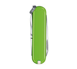 Victorinox Classic SD Pocket Knife | Smashed Avocado Green