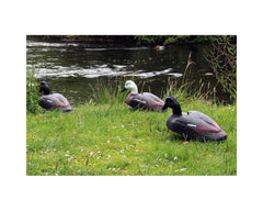 Paradise Foam Decoy Shells with Light Stakes: 12-Pack