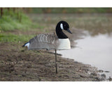 Game On Canada Goose Shell Decoys with Flocked Head: 12 Pack