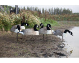 Game On Canada Goose Shell Decoys with Flocked Head: 12 Pack