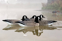Game On Canada Goose Flocked Floating Decoys: 4-Pack