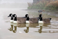 Game On Canada Goose Flocked Floating Decoys: 4-Pack