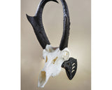 Skull Hooker Little Hooker Trophy Mount: Black