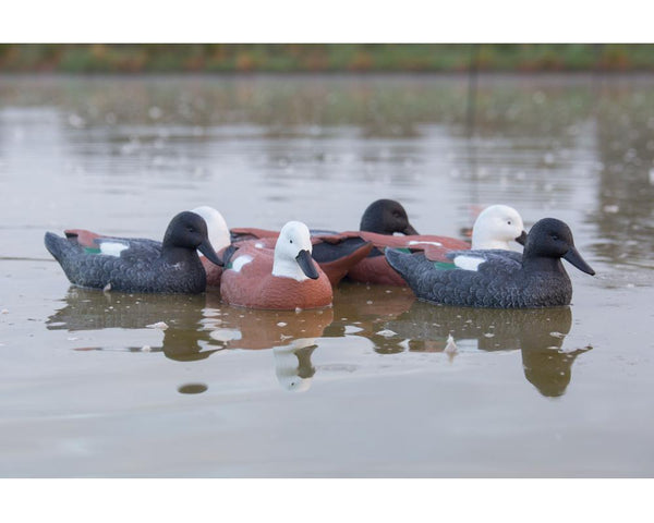 Game On Paradise Duck Swimming Decoy Family: 6-Pack